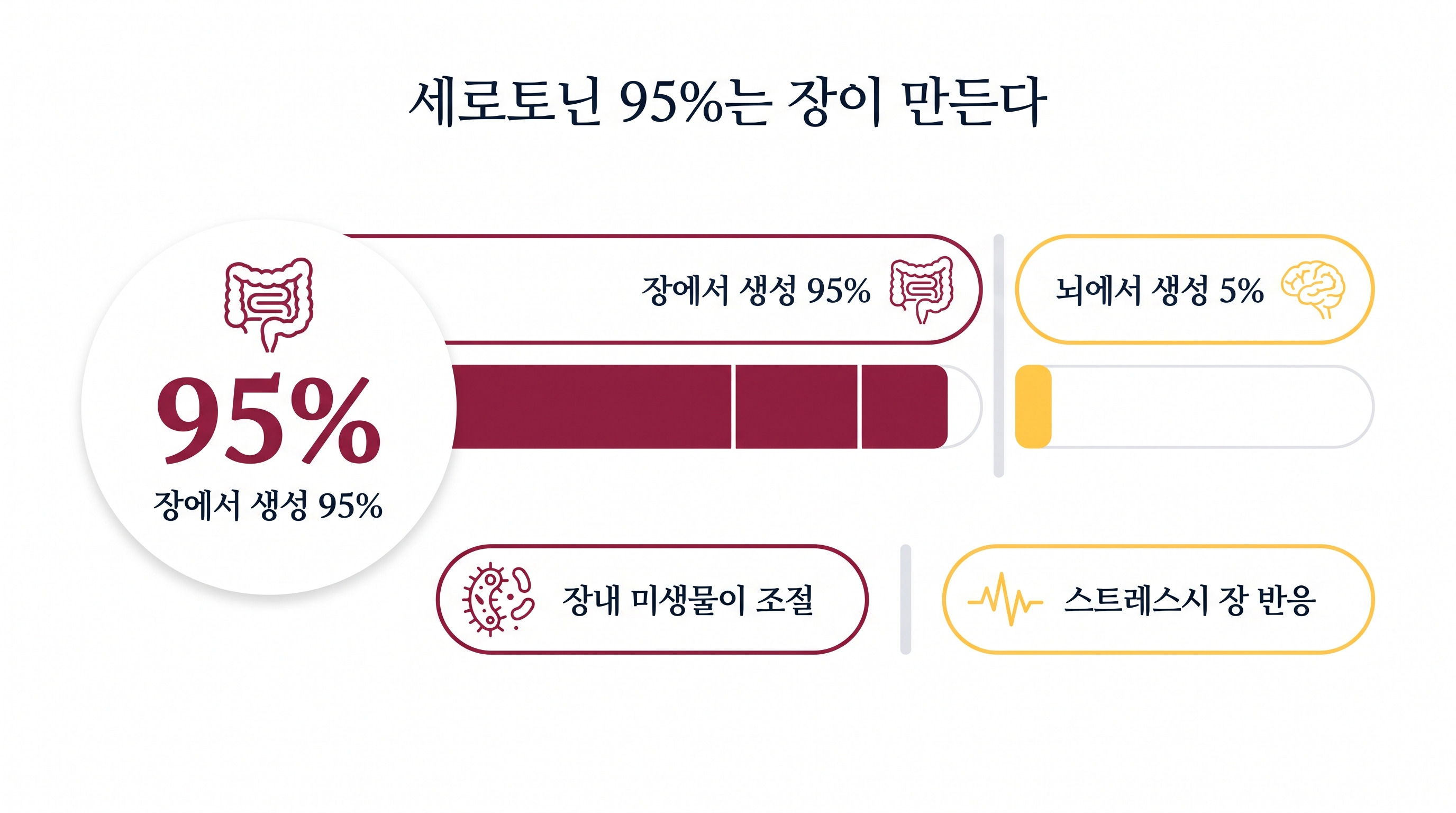 우리 몸의 행복 호르몬 세로토닌은 대부분 장에서 만들어지며, 장내 미생물이 그 생성을 조절합니다