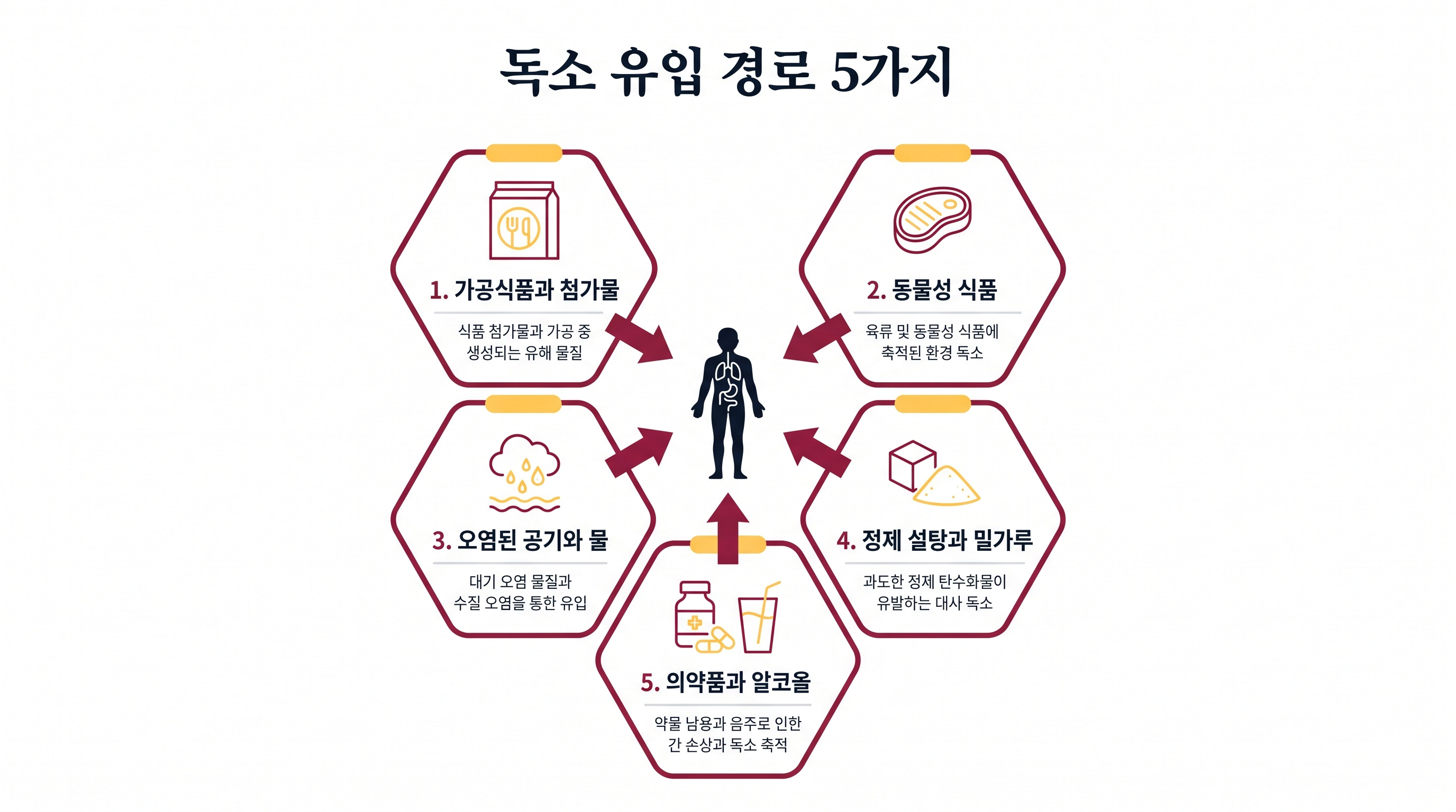 우리 일상 속 독소는 다양한 경로로 체내에 유입되어 지방 축적을 유발합니다