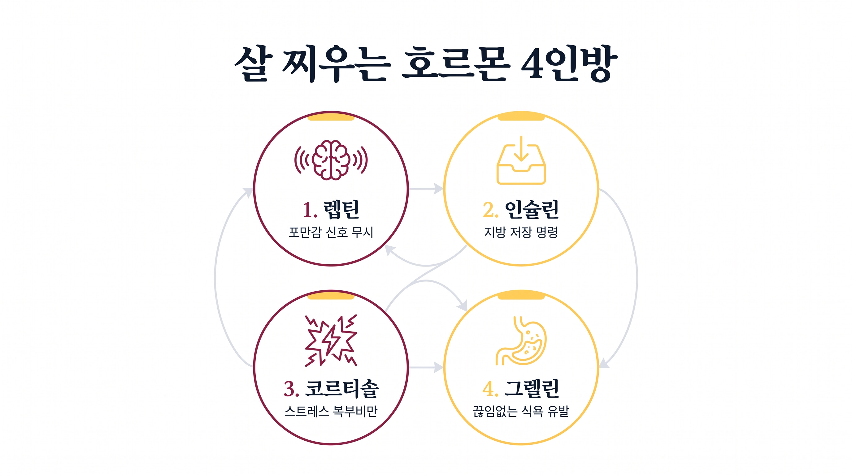 체중 증가에 관여하는 4가지 주요 호르몬과 그 작용 메커니즘